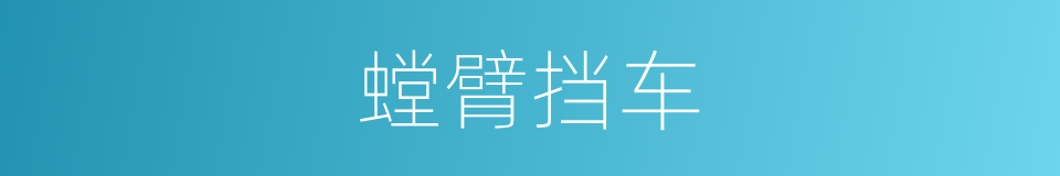 螳臂挡车的意思