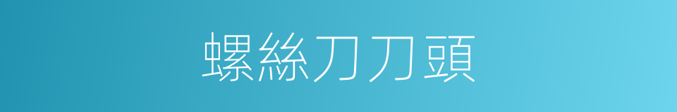 螺絲刀刀頭的同義詞