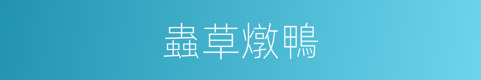 蟲草燉鴨的同義詞
