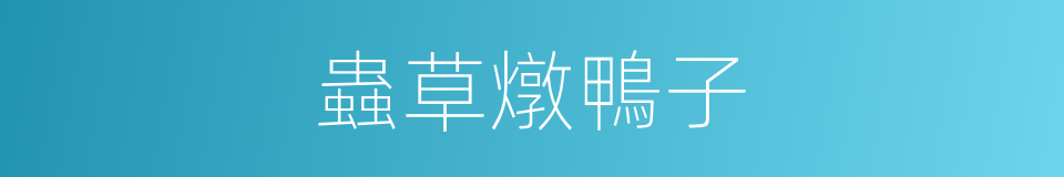 蟲草燉鴨子的同義詞