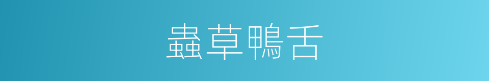 蟲草鴨舌的同義詞