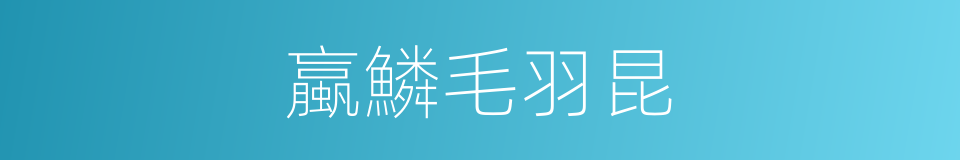 蠃鱗毛羽昆的同義詞