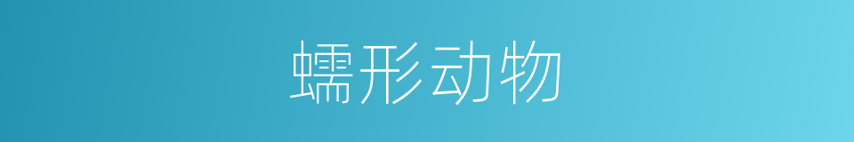 蠕形动物的意思