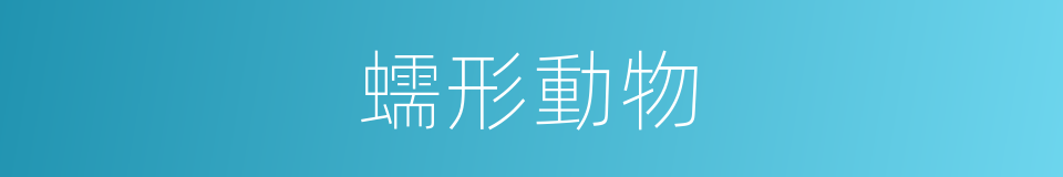 蠕形動物的意思