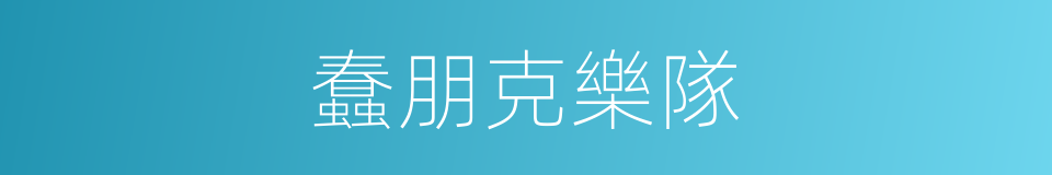 蠢朋克樂隊的同義詞