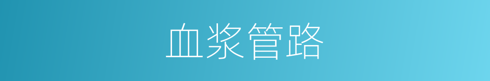 血浆管路的同义词