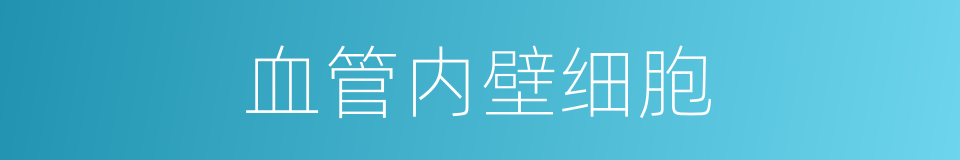 血管内壁细胞的同义词