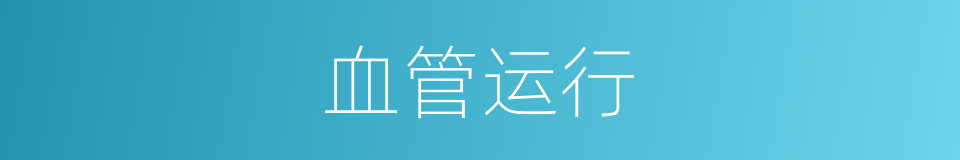 血管运行的同义词