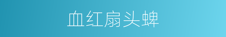 血红扇头蜱的同义词