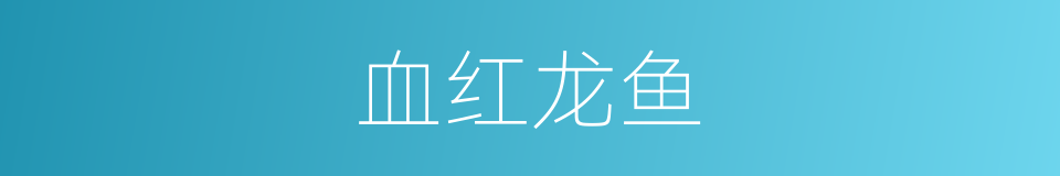 血红龙鱼的同义词