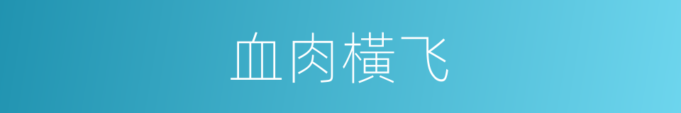 血肉橫飞的意思