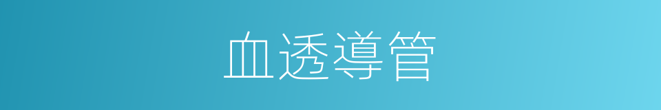 血透導管的同義詞