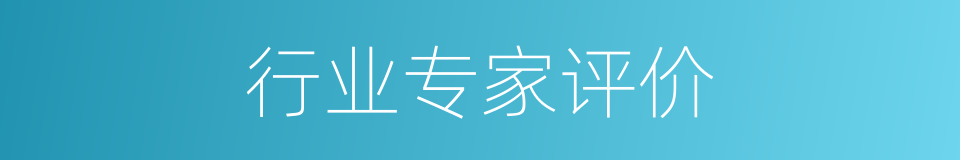 行业专家评价的同义词