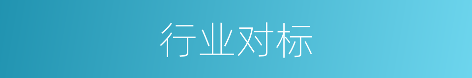 行业对标的同义词