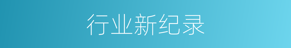 行业新纪录的同义词