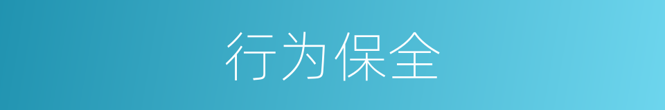 行为保全的意思