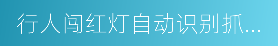 行人闯红灯自动识别抓拍系统的同义词