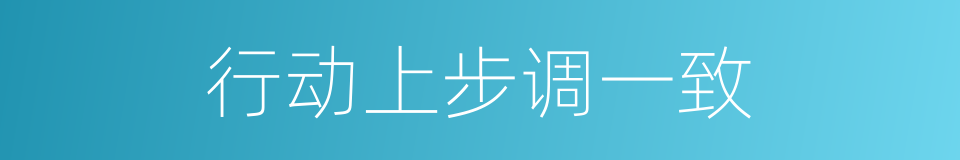 行动上步调一致的同义词