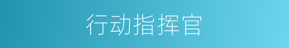 行动指挥官的同义词