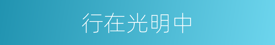 行在光明中的同义词