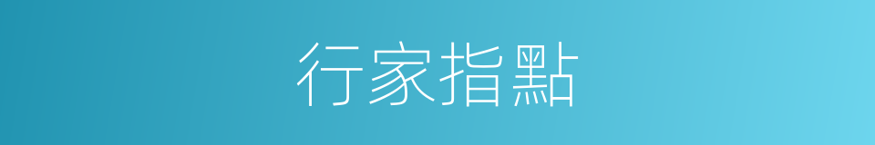 行家指點的同義詞