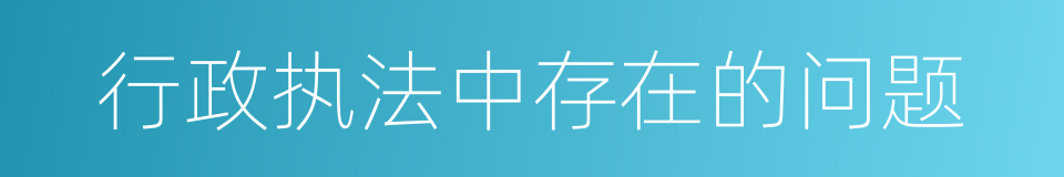 行政执法中存在的问题的同义词