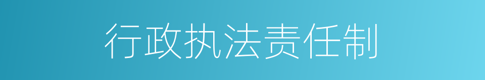 行政执法责任制的同义词