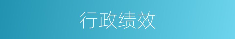 行政绩效的同义词