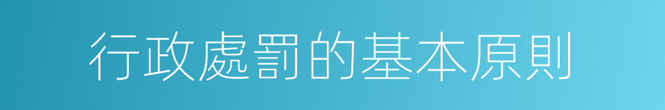 行政處罰的基本原則的同義詞