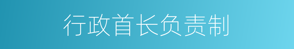 行政首长负责制的同义词