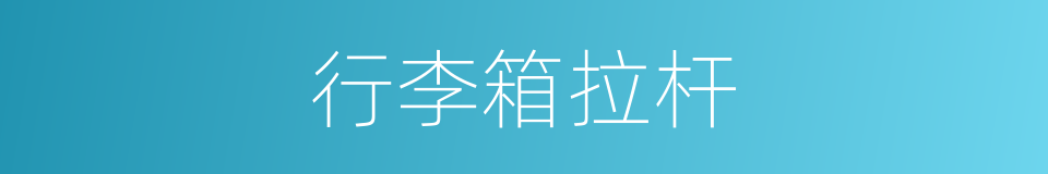 行李箱拉杆的同义词