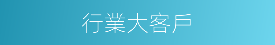 行業大客戶的同義詞
