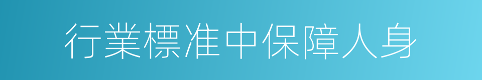 行業標准中保障人身的同義詞