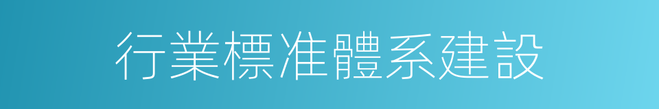 行業標准體系建設的同義詞