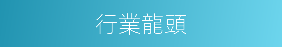 行業龍頭的意思