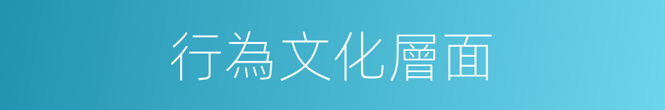 行為文化層面的同義詞