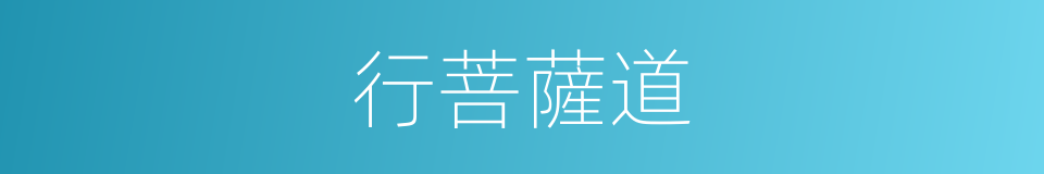 行菩薩道的同義詞