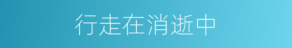 行走在消逝中的同义词
