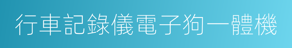 行車記錄儀電子狗一體機的同義詞