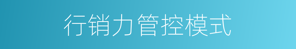 行销力管控模式的同义词
