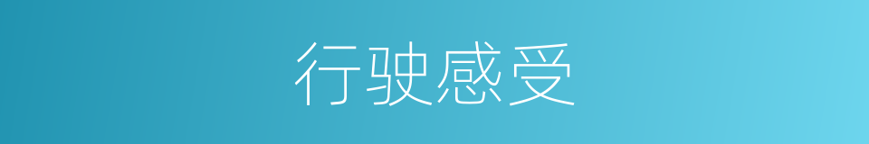行驶感受的同义词