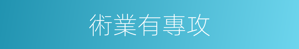 術業有專攻的同義詞