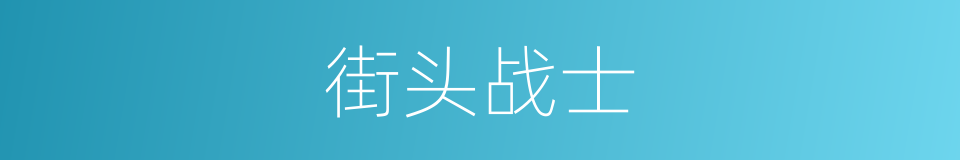 街头战士的同义词