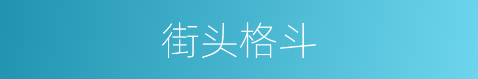 街头格斗的同义词