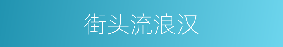 街头流浪汉的同义词