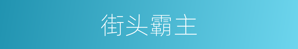 街头霸主的同义词