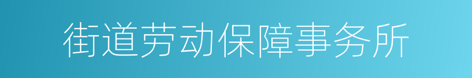 街道劳动保障事务所的同义词