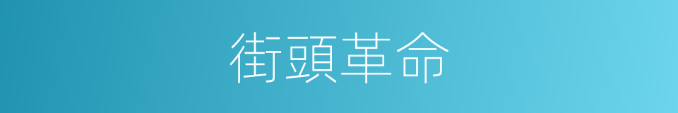 街頭革命的同義詞