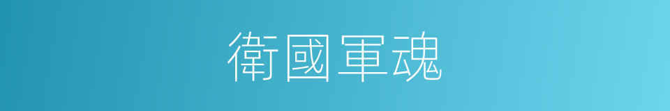 衛國軍魂的同義詞