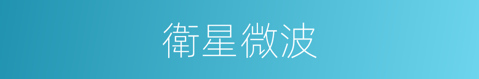 衛星微波的同義詞